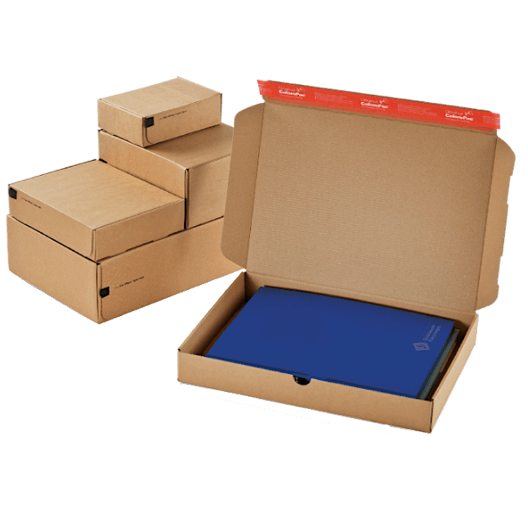 Modulbox – CP 080
